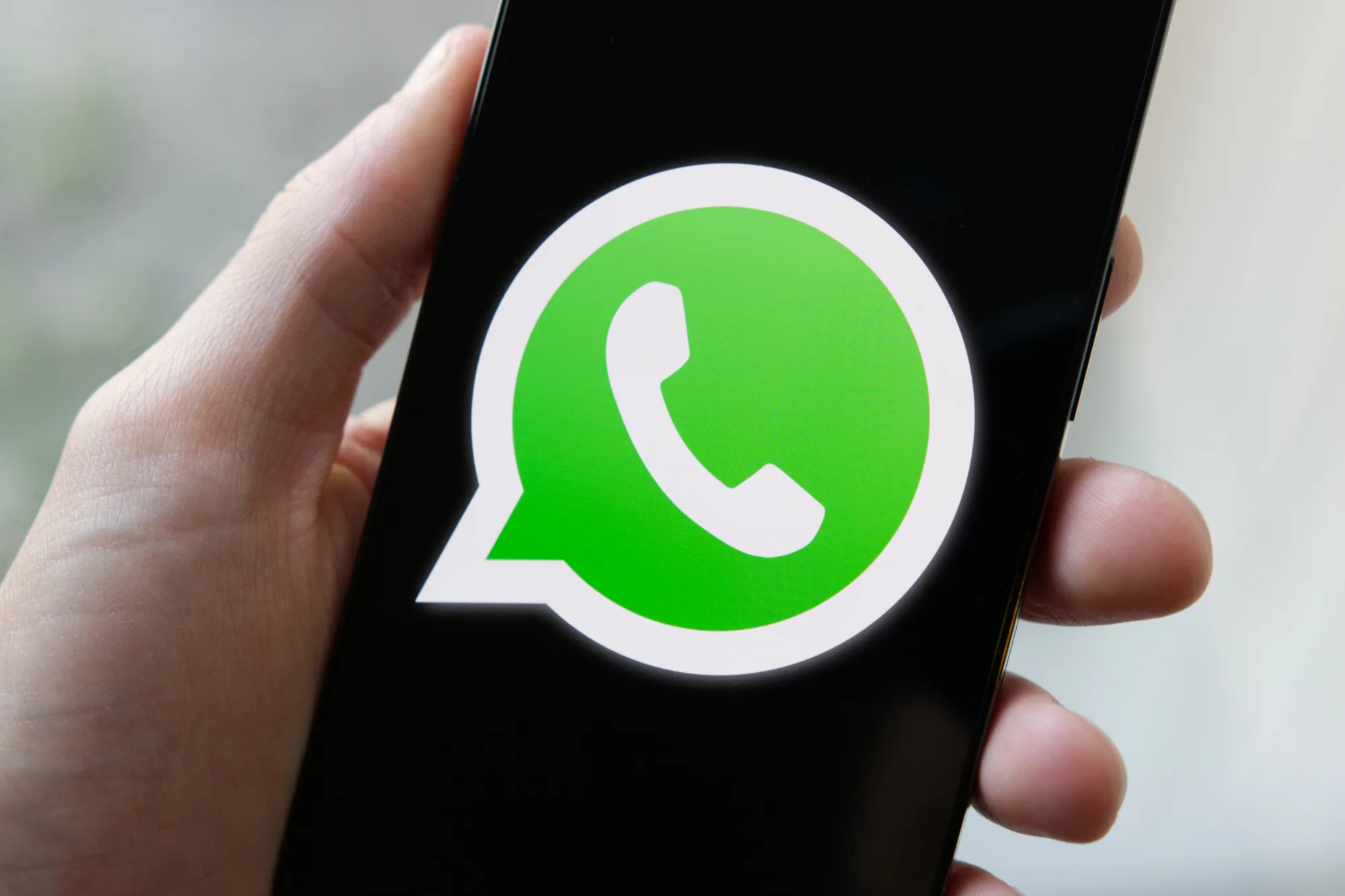 отложенная отправка WhatsApp