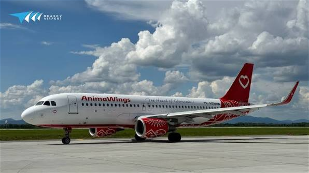 долг AnimaWings AIBG