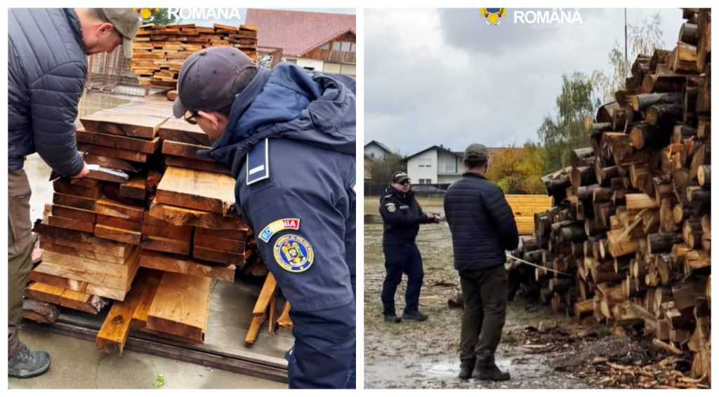 древесина Săcele