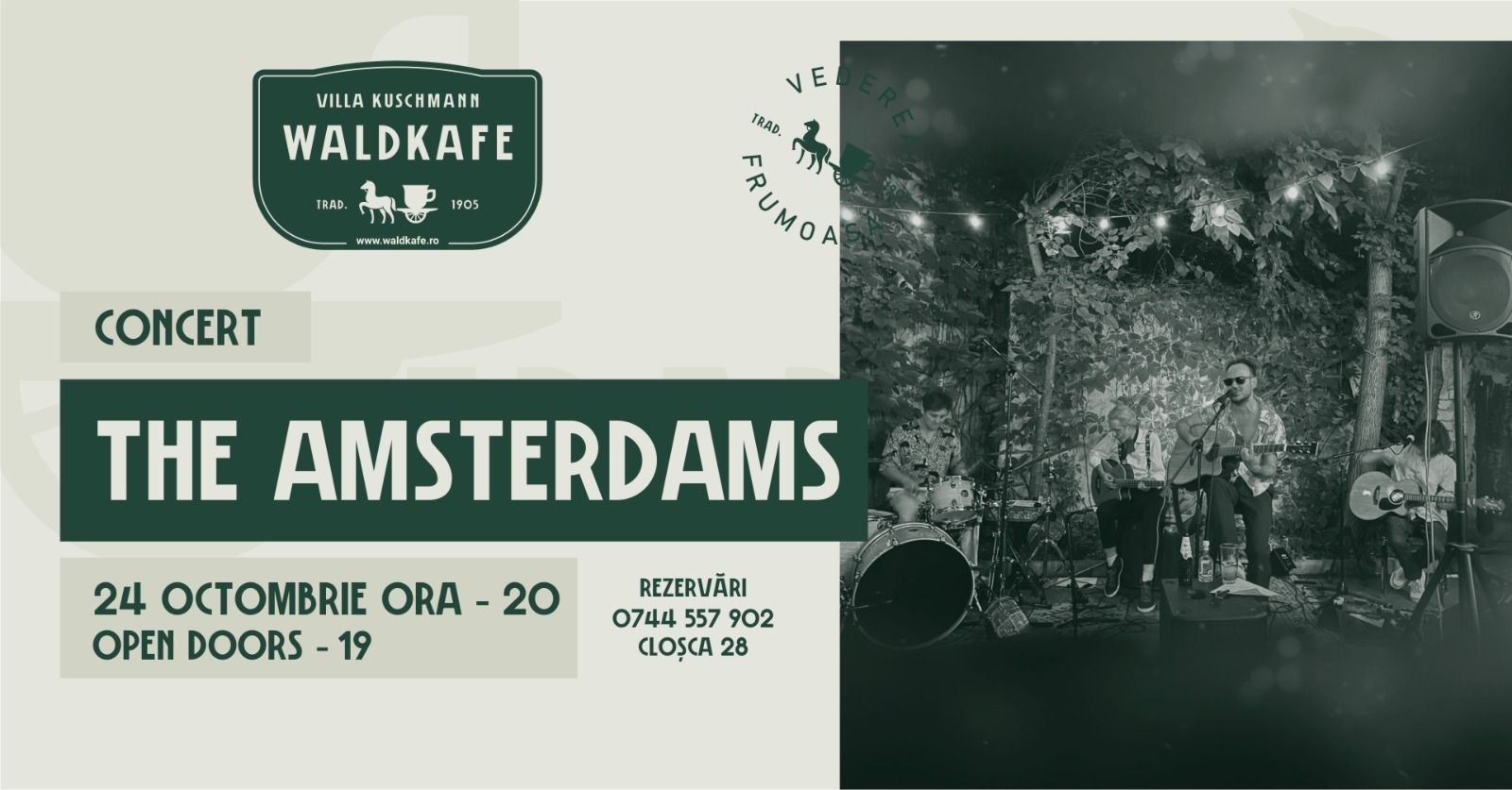 концерт The Amsterdams