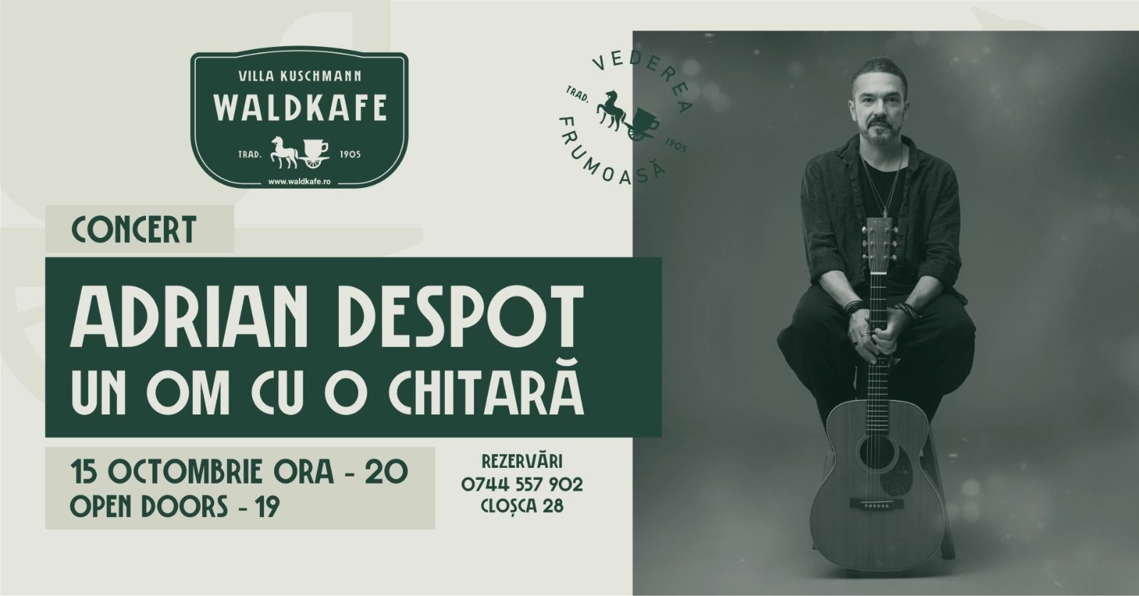 концерт Adrian Despot