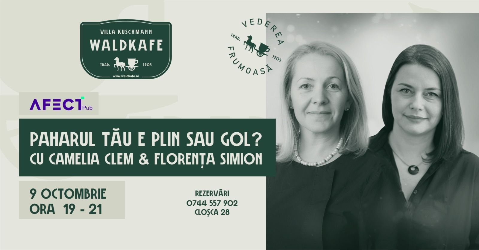 встреча AFECTpub Brașov