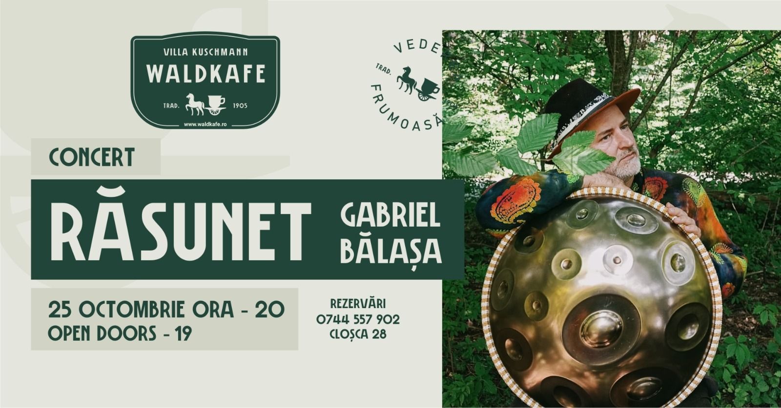концерт Gabriel Bălașa