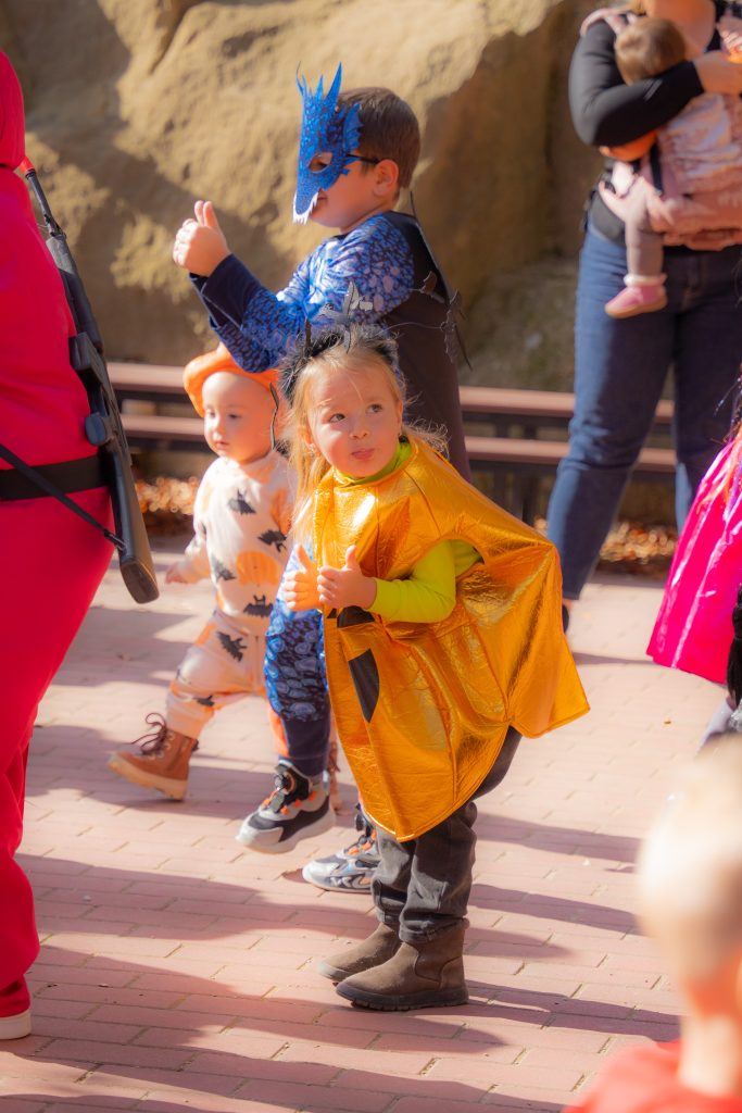 Хэллоуин Magic Parc Râșnov