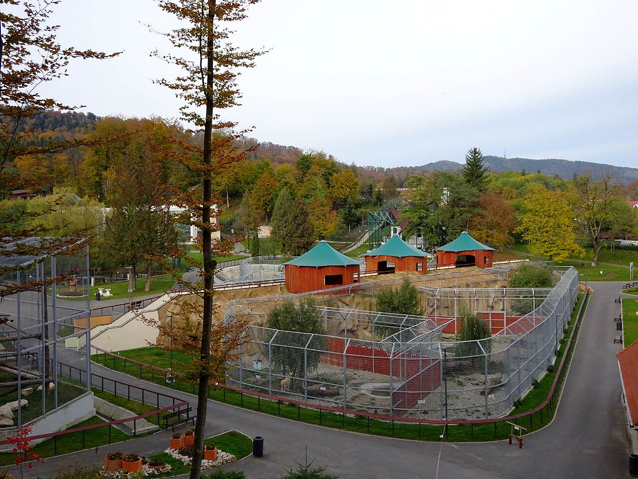 Zoo Brașov